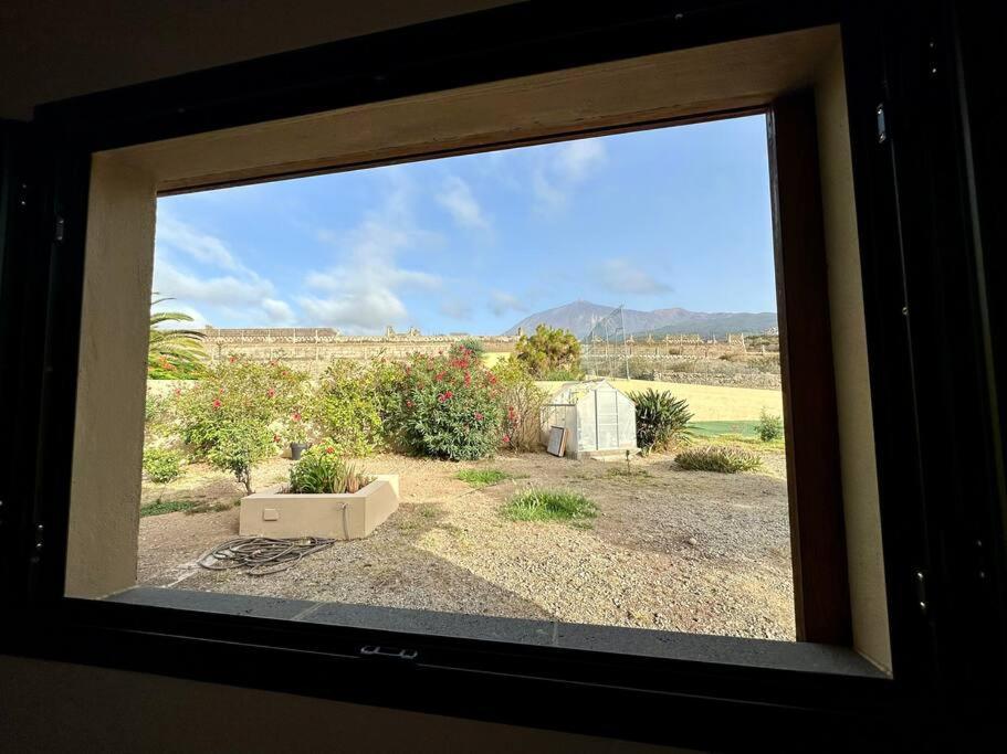 הוילה סנטה קרוז דה טנריף Peaceful Oasis With Magical Sea Views And A Pool מראה חיצוני תמונה