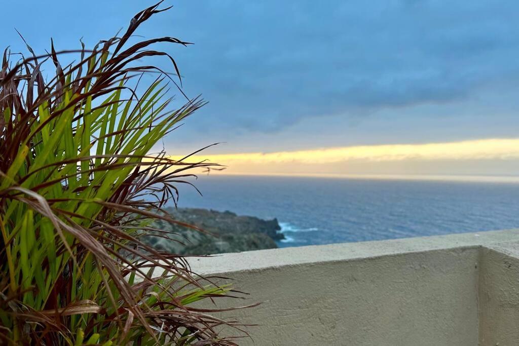הוילה סנטה קרוז דה טנריף Peaceful Oasis With Magical Sea Views And A Pool מראה חיצוני תמונה