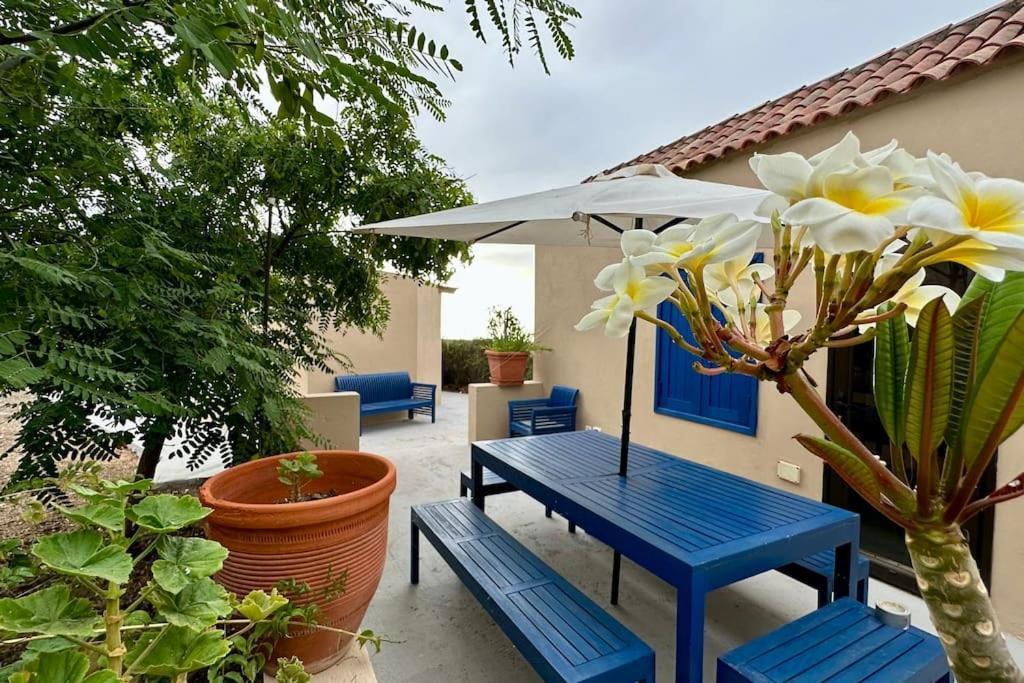 הוילה סנטה קרוז דה טנריף Peaceful Oasis With Magical Sea Views And A Pool מראה חיצוני תמונה