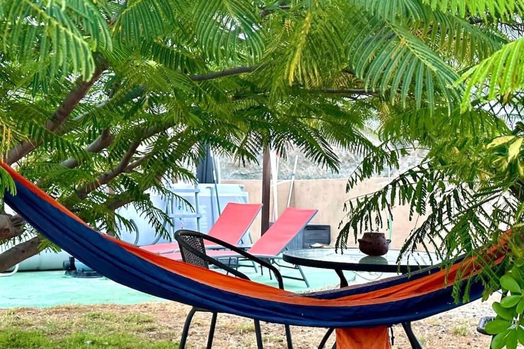 הוילה סנטה קרוז דה טנריף Peaceful Oasis With Magical Sea Views And A Pool מראה חיצוני תמונה