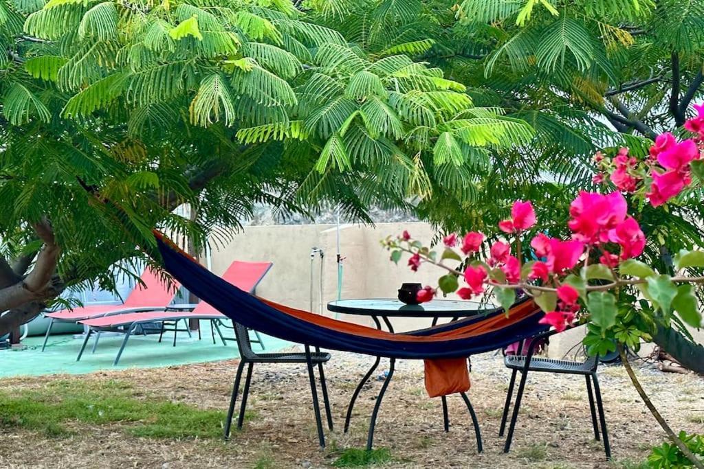 הוילה סנטה קרוז דה טנריף Peaceful Oasis With Magical Sea Views And A Pool מראה חיצוני תמונה