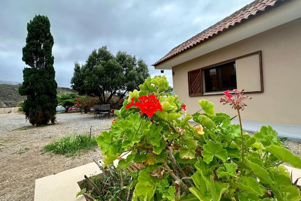 הוילה סנטה קרוז דה טנריף Peaceful Oasis With Magical Sea Views And A Pool מראה חיצוני תמונה